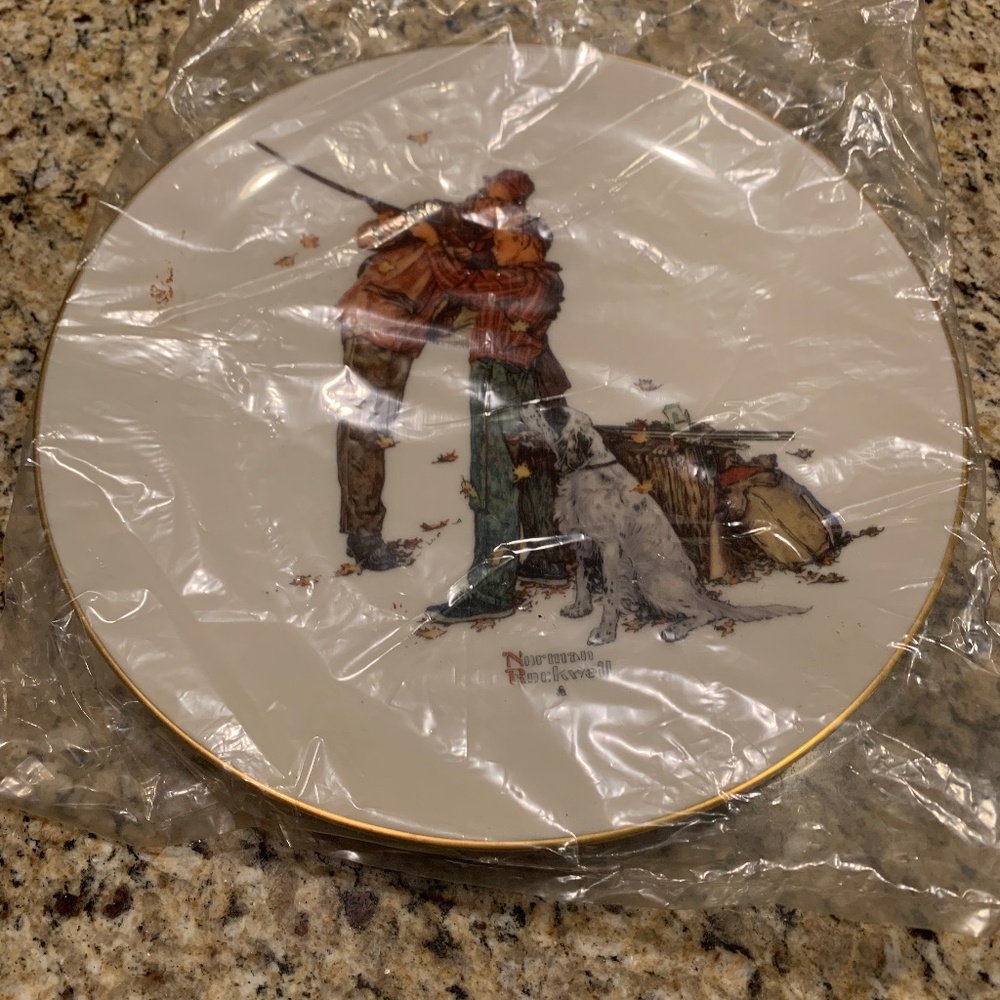 Vintage Norman Rockwell 1980 Careful Aim Plate